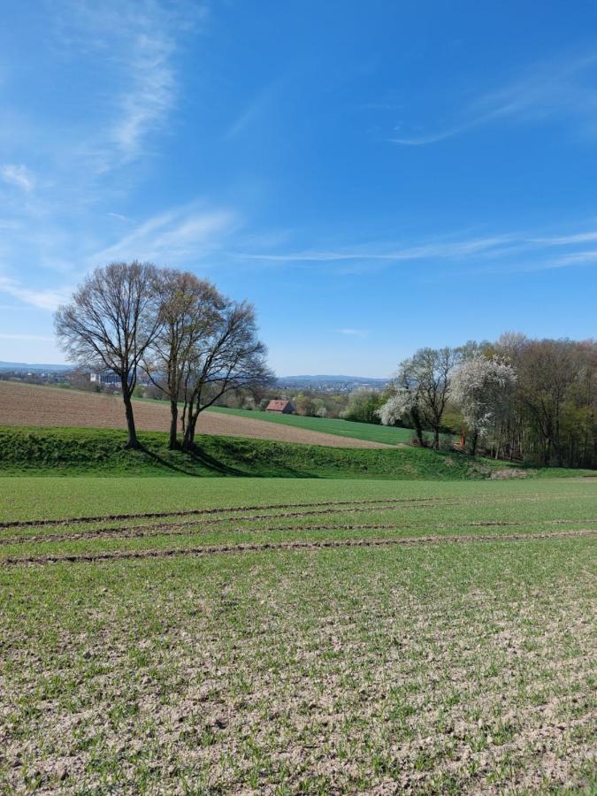 Wohnung Mona Herford Bagian luar foto
